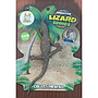 Hewan Karet Kadal Lizard Series Papan @240